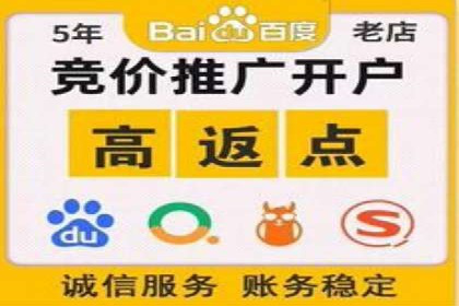 某品牌SEM广告投放效果全解析